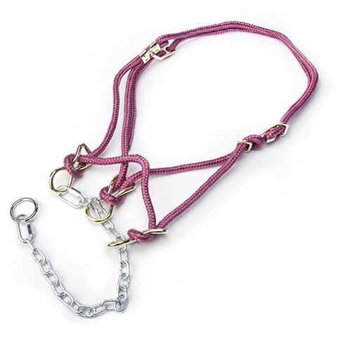 HACKAMORE HALTER COW - MAROON