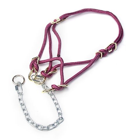 HACKAMORE HALTER HEIFER - MAROON