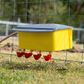 Bainbridge Automatic Poultry Waterer