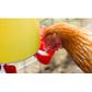 Bainbridge Chook Tower - Feeder & Drinker