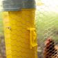 Bainbridge Chook Tower - Feeder & Drinker