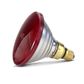 Infrared Heat Lamp Bulb - Red