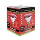 Infrared Heat Lamp Bulb - Red