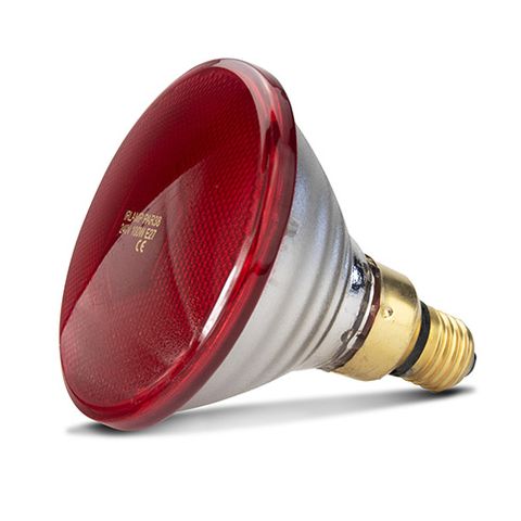 INFRARED HEAT LAMP BULB PAR - RED - 100W