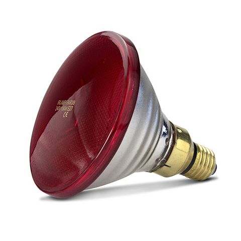 INFRARED HEAT LAMP BULB PAR - RED - 150W