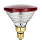 Infrared Heat Lamp Bulb - Red