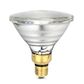 Infrared Heat Lamp Bulb - Clear