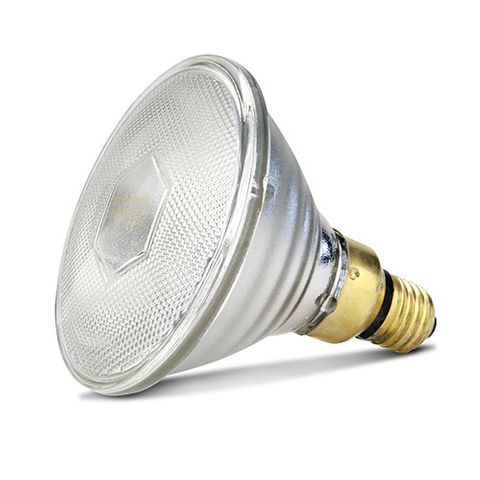 INFRARED HEAT LAMP BULB PAR - CLEAR - 100W