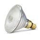 Infrared Heat Lamp Bulb - Clear