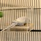 Bainbridge Mess Free Bird Feeder