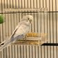 Bainbridge Mess Free Bird Feeder