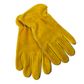 Premium Leather Gloves Palm & Back Protection