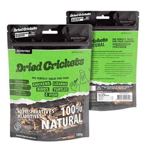Dried Crickets