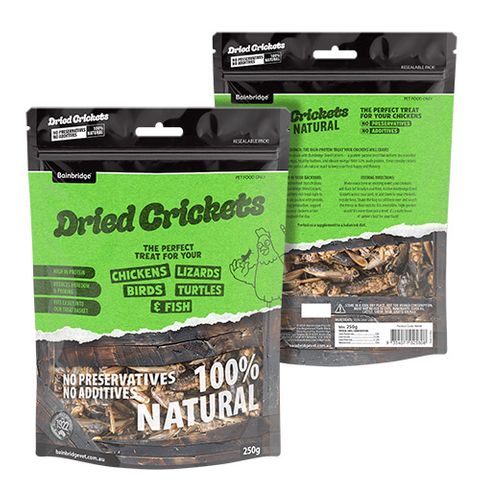 DRIED CRICKETS 250G