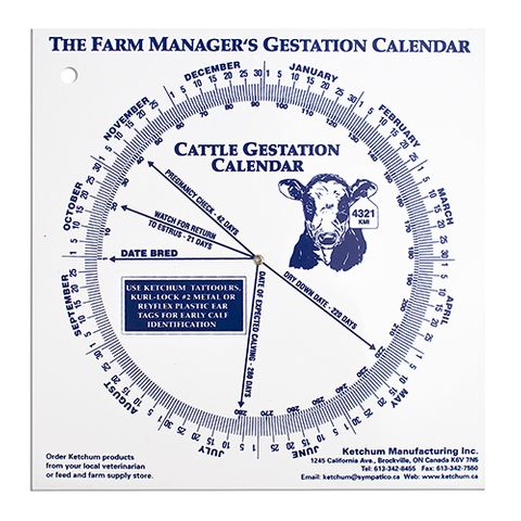 Gestational Calender