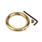 Brass Bull Rings