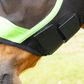 Fly Mask - Professional W Ears