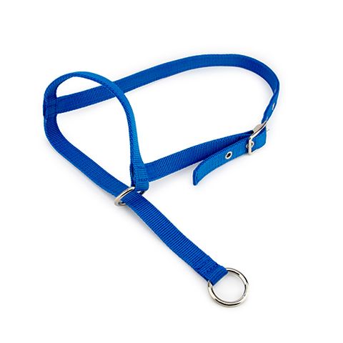 HALTER LEADING COW - BLUE