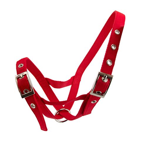 CATTLE HALTER WEBBING CALF - RED