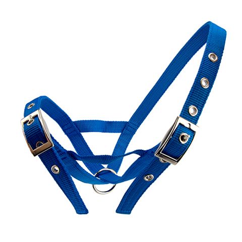 CATTLE HALTER WEBBING HEIFER - BLUE