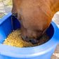 D Feeder - Equine