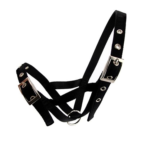 CATTLE HALTER WEBBING HEIFER - BLACK