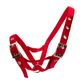 Webbed Cattle Halter