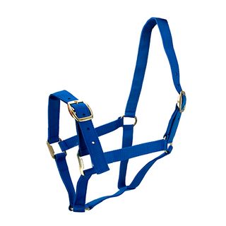 Halters and Leads