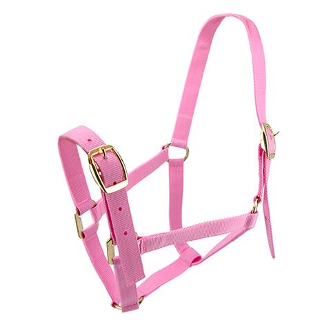 HORSE HALTER COB PINK