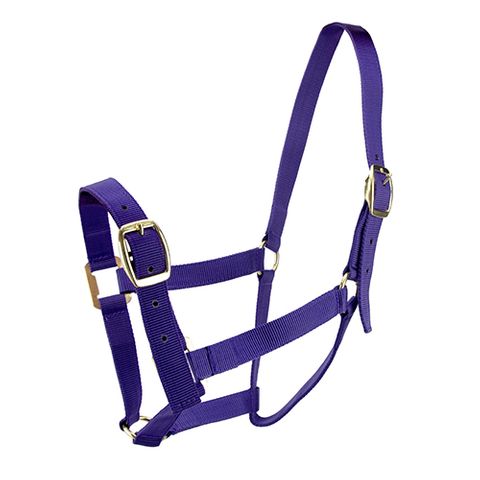 HORSE HALTER COB PURPLE