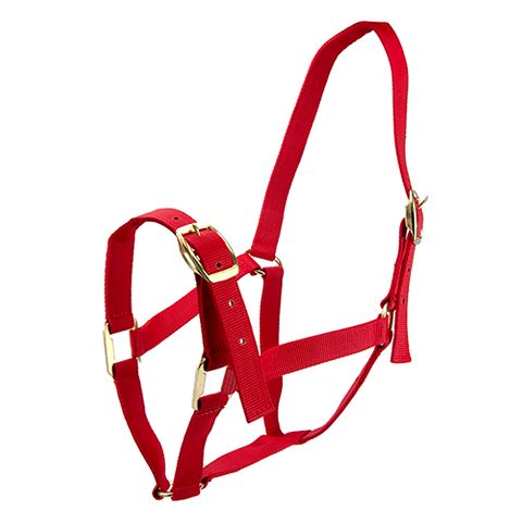 HORSE HALTER COB RED