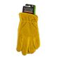 Premium Leather Gloves Palm & Back Protection