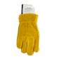 Premium Leather Gloves Palm & Back Protection