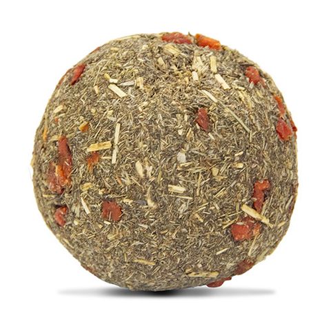 Small Animal Treat - Carrot Balls