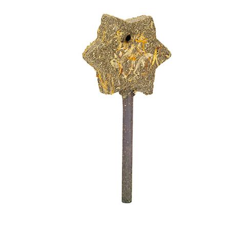 Small Animal Treat - Magic Timothy Wand