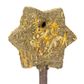 SMALL ANIMAL TREAT - MAGIC TIMOTHY WAND