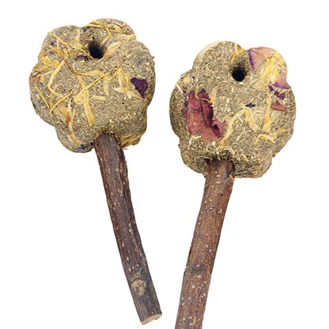 Small Animal Treat - Timothy Flowers