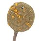 SMALL ANIMAL TREAT - TIMOTHY LOLLIPOP APPLE