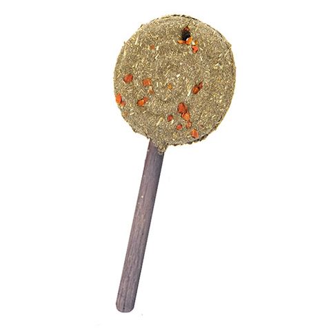 Small Animal Treat - Timothy Lollipop Carrot