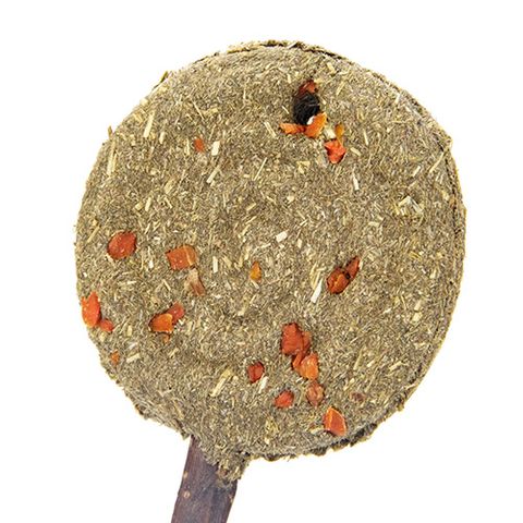 Small Animal Treat - Timothy Lollipop Carrot