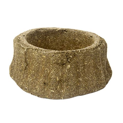 Small Animal Treat - Medium Timothy Chew A Bowl