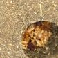 SMALL ANIMAL TREAT - TIMOTHY ROLL N TOSS TREAT
