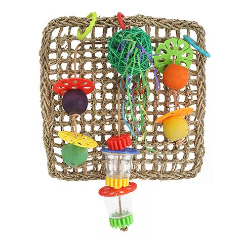 Bird Toy Interactive - Net Foraging Wall