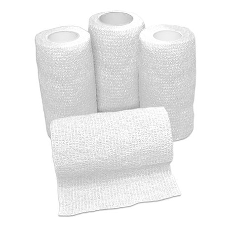 BANDAGE FLEXI BAND WHITE 10CM