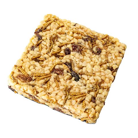 TREAT BLOCK - MEALWORMS, PEANUTS AND RAISINS
