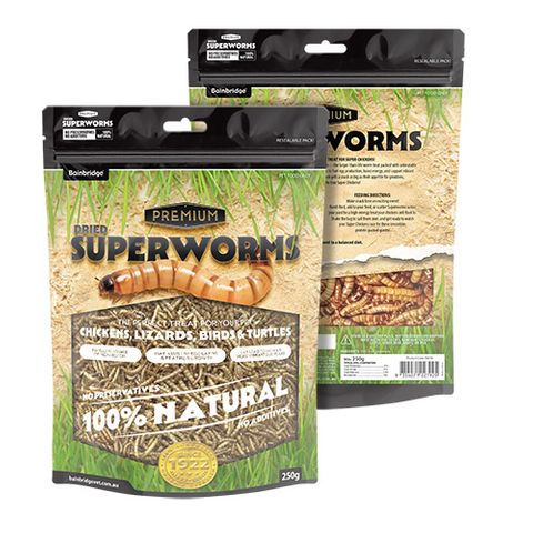 DRIED SUPERWORMS 250G