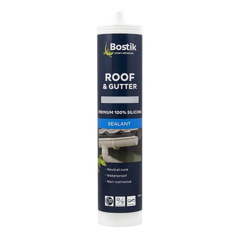Roof and Gutter