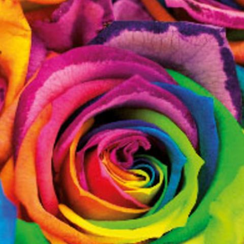 KIIAN DIGISTAR HI PRO FLOURESCENTS