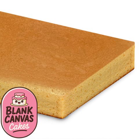 FROZEN WHITE MUD SLAB CAKE | BLANK CANVAS CAKES