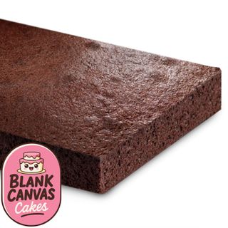 FROZEN CHOCOLATE MUD SLAB CAKE | BLANK CANVAS CAKES